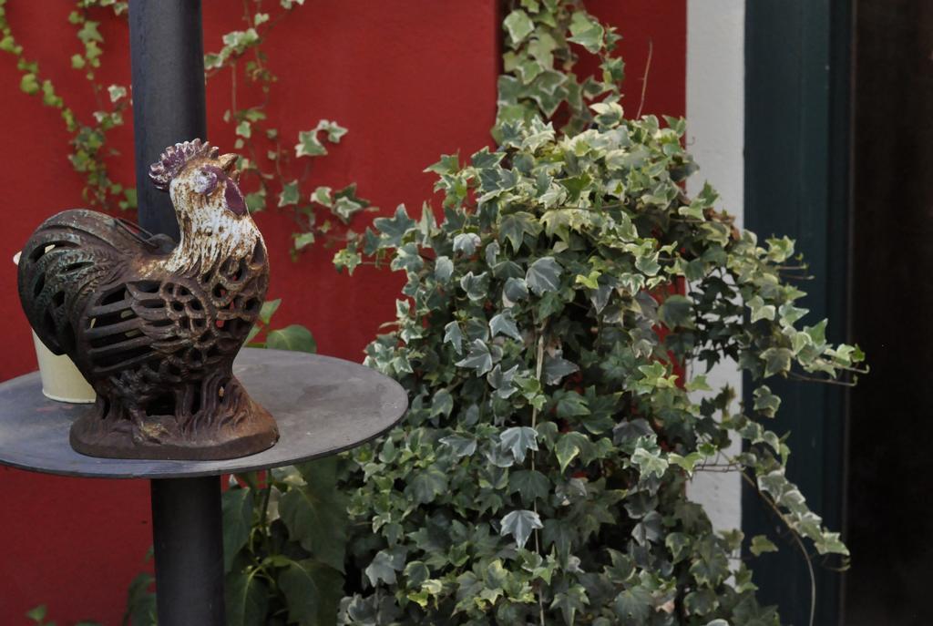 B&B Edera Castagnole Piemonte Екстер'єр фото